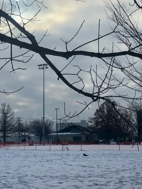 Winter's quiet embrace settles over the park.
